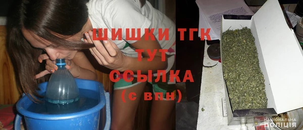 эйфоретик Баксан