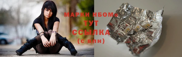 эйфоретик Баксан