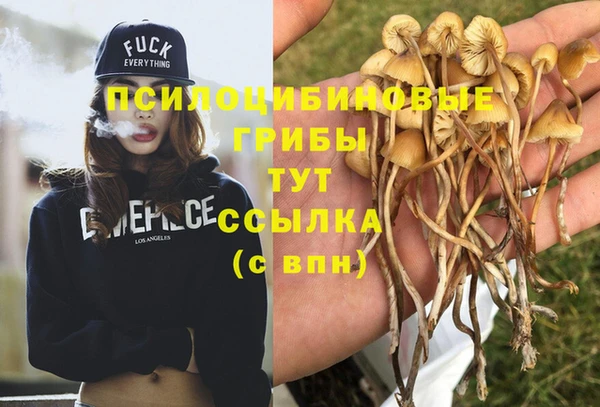 не бодяженный Балахна