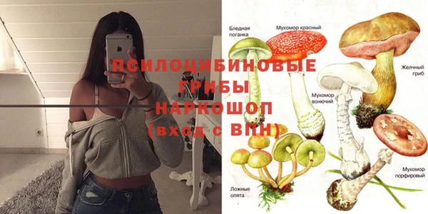 эйфоретик Баксан