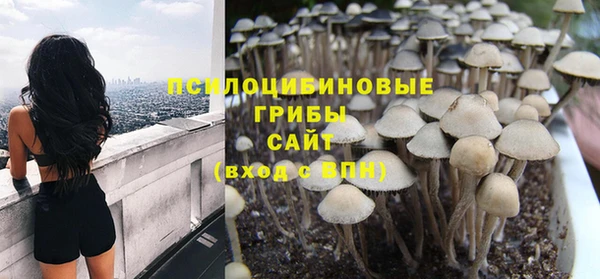 эйфоретик Баксан